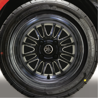 10" 16-Spoke V-Series Black Wheels 